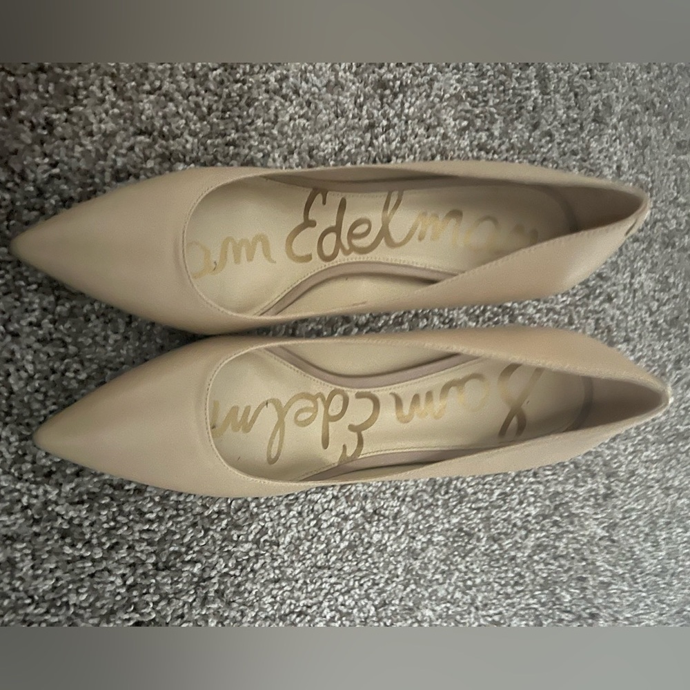 Sam Edelman Hazel Pointed Toe Heels